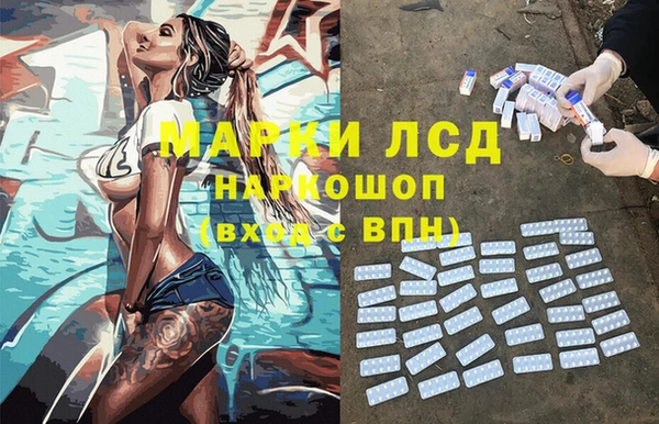 стаф Арсеньев