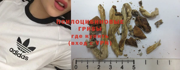 прущий лед Аркадак
