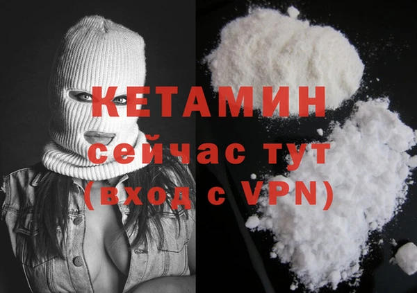 стаф Арсеньев