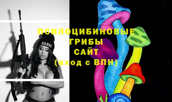 прущий лед Аркадак