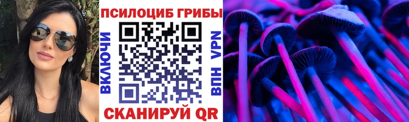 как найти закладки  Поронайск  Галлюциногенные грибы Magic Shrooms 